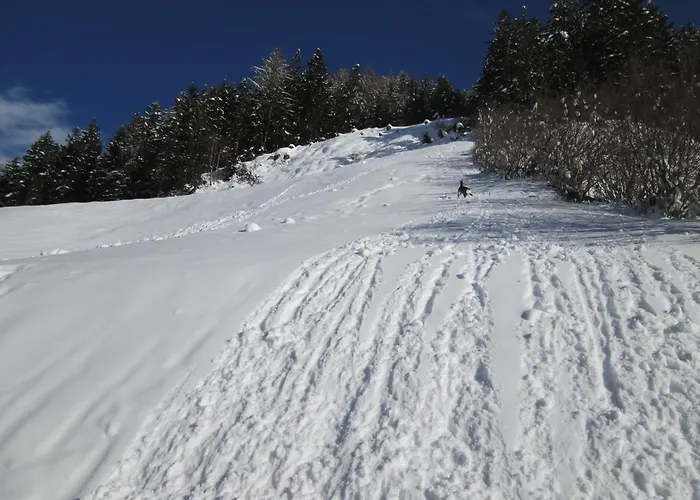 Resinger Matrei in Osttirol